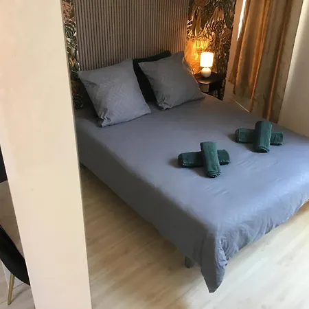 Cosy 3 Montauban